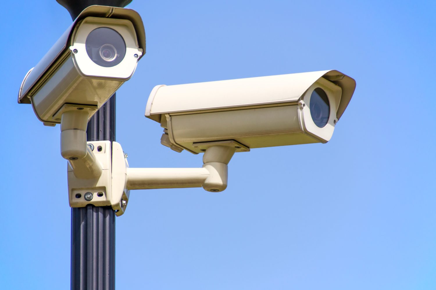 Ministra Mediului: Am făcut plângere la Parchetul de lângă Înalta Curte de Casație și Justiție, după vandalizarea camerelor video care monitorizează drumurile forestiere