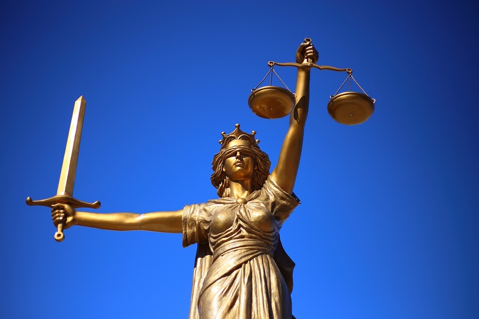 Dreptul european despre dosarul PNL vs. puciști: membrii de partid pot fi excluși pentru motive politice, pe care instanțele – cum ar fi Tribunalul Ilfov – nu le pot judeca. Ce înseamnă, de fapt, mandatul imperativ