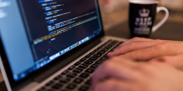 angajați, IT, computer, programatori