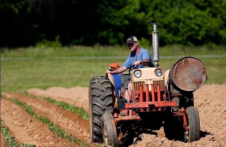Dispare ”agricultură mică” în Bihor / Peste o mie de persoane nu au mai cerut subvenţii APIA anul acesta / „Nu a mai venit bace Petre cu un hectar de teren pentru subvenţie, pentru că l-a dat la nepot să-l lucreze sau în arendă”