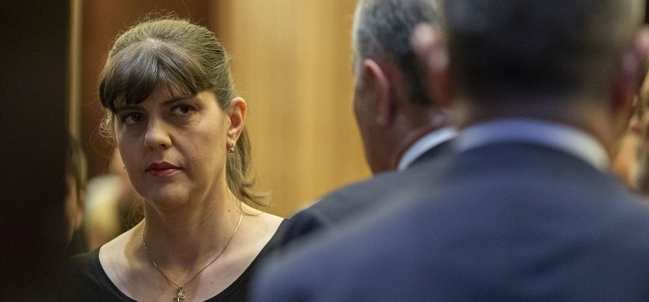 laura codruta covesi, eppo, parchetul european
