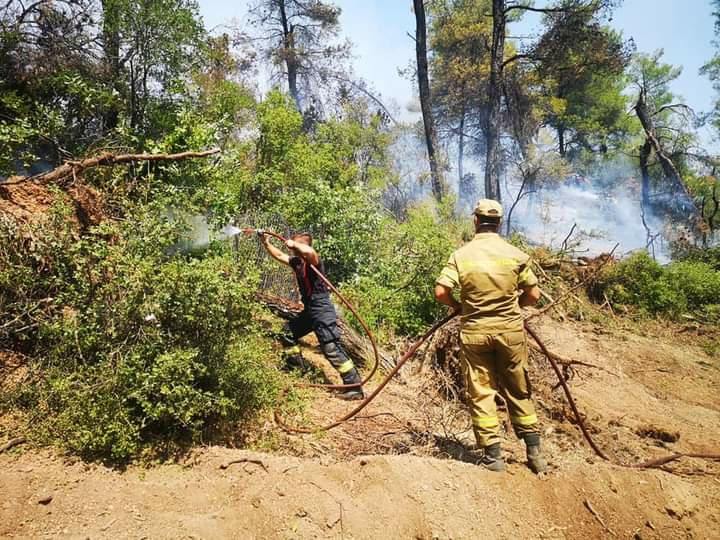 Autoritățile din regiunea Attica, Grecia, rămân în alertă maximă din cauza riscului ridicat de incendii de vegetație