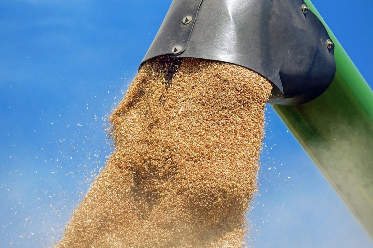 Comisia Europeană cere Poloniei, Ungariei și Slovaciei să ridice restricțiile pentru importurile agricole din Ucraina
