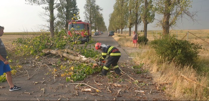 Copaci doborâţi de furtună peste maşini şi linii electrice în Neamț