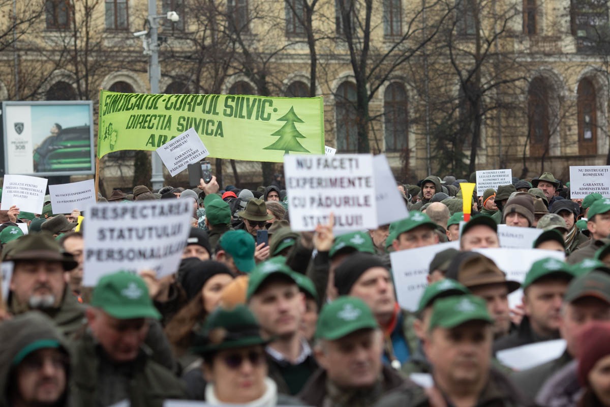 Sindicatele susțin că legea salarizării, în forma actuală, va duce la scăderea cu 25% a veniturilor silvicultorilor