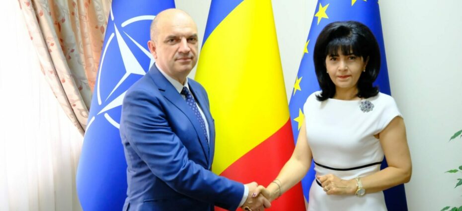 Angel Iulian Calin, Doina Fedorovici