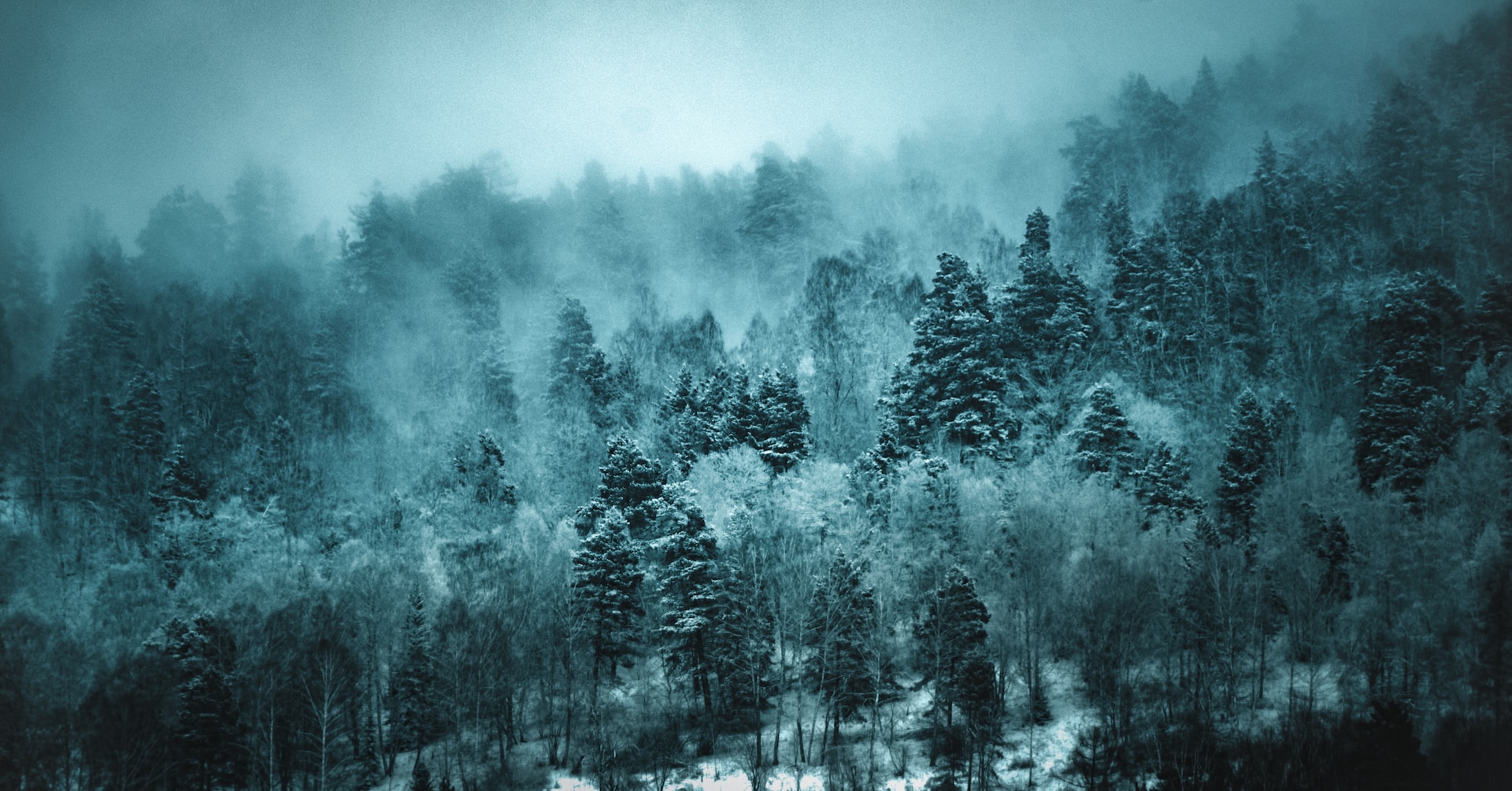 Siberia, locul în care morții se conservă perfect de sute de ani / În ”congelatorul” natural, vechi de 10.000 de ani, cercetătorii francezi au analizat corpurile conservate perfect / Săpăturile sunt acum suspendate din cauza tensiunilor politice