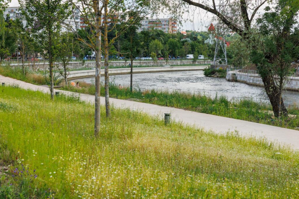 Boc: Municipiul Cluj-Napoca va avea un nou pod peste Someş, în valoare de şase milioane de euro / ”Va fi construit de la zero, va înlocui actuala pasarelă suspendată” 