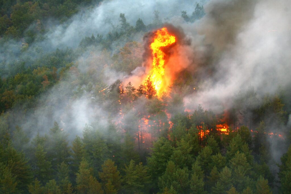Emblematica pădure Fontainebleau este în flăcări lângă Paris / Două avioane bombardiere cu apă au fost mobilizate pentru stingerea incendiului