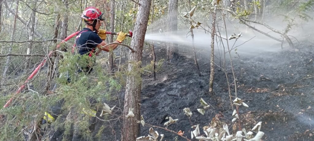 Incendiile din Franța ajung să afecteze și Turul Franței. Ultima etapă, redusă cu zeci de kilometri