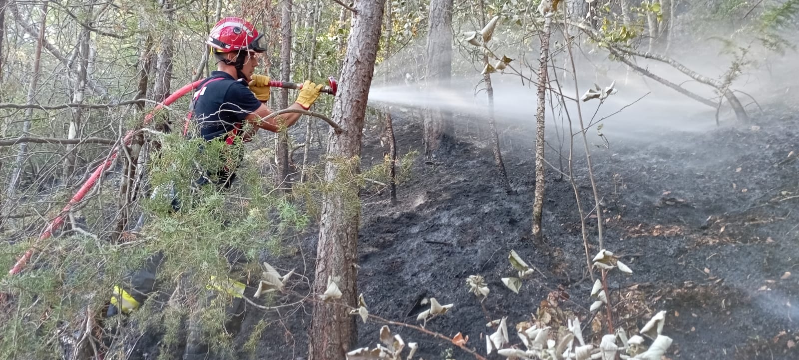 Incendiile din Franța ajung să afecteze și Turul Franței. Ultima etapă, redusă cu zeci de kilometri