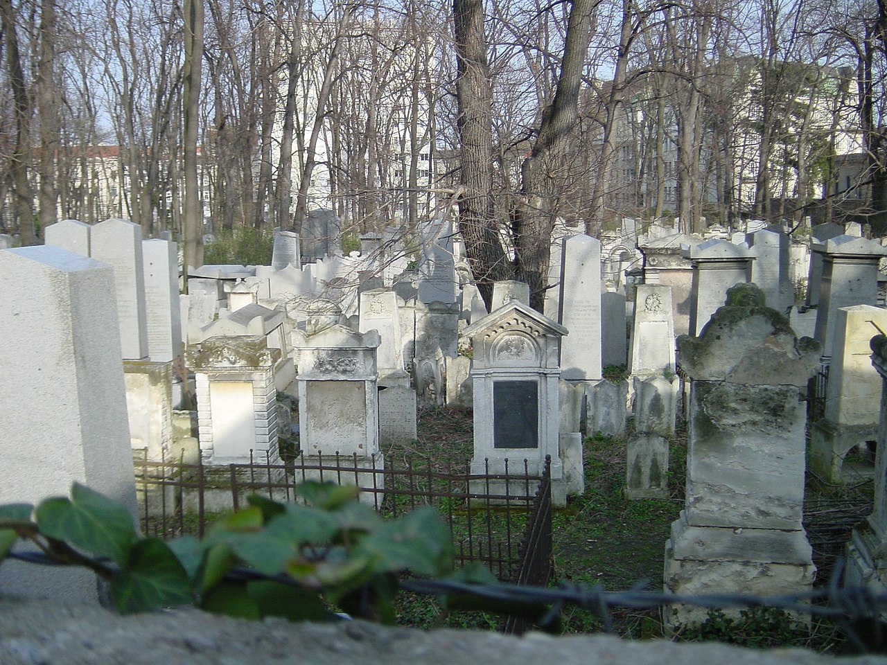 Fitness în cimitir / În Viena se poate practica sportul printre morminte