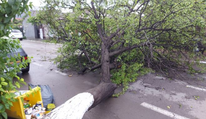 UPDATE | Primele efecte ale Codului Roșu de vijelii și grindină din București: trei copaci și un stâlp doborâți de vânt, un autoturism avariat / Circulația trenurilor, afectată după întreruperea alimentării liniilor de contact din Complexul Feroviar București Nord