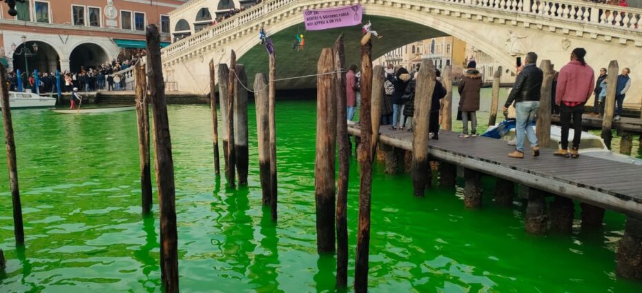 venetia apa verde