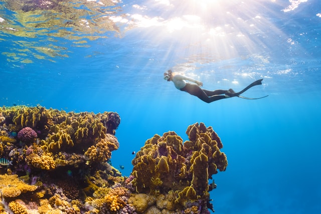 Oceanele se apropie de temperaturi record / Se estimează că 2027 va doborî recordul anual de temperatură, stabilit în 2024