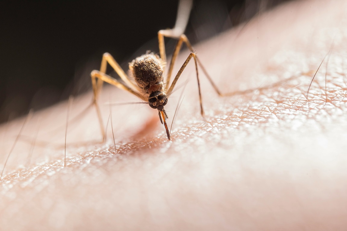 India a autorizat în premieră utilizarea unui vaccin împotriva febrei denga
