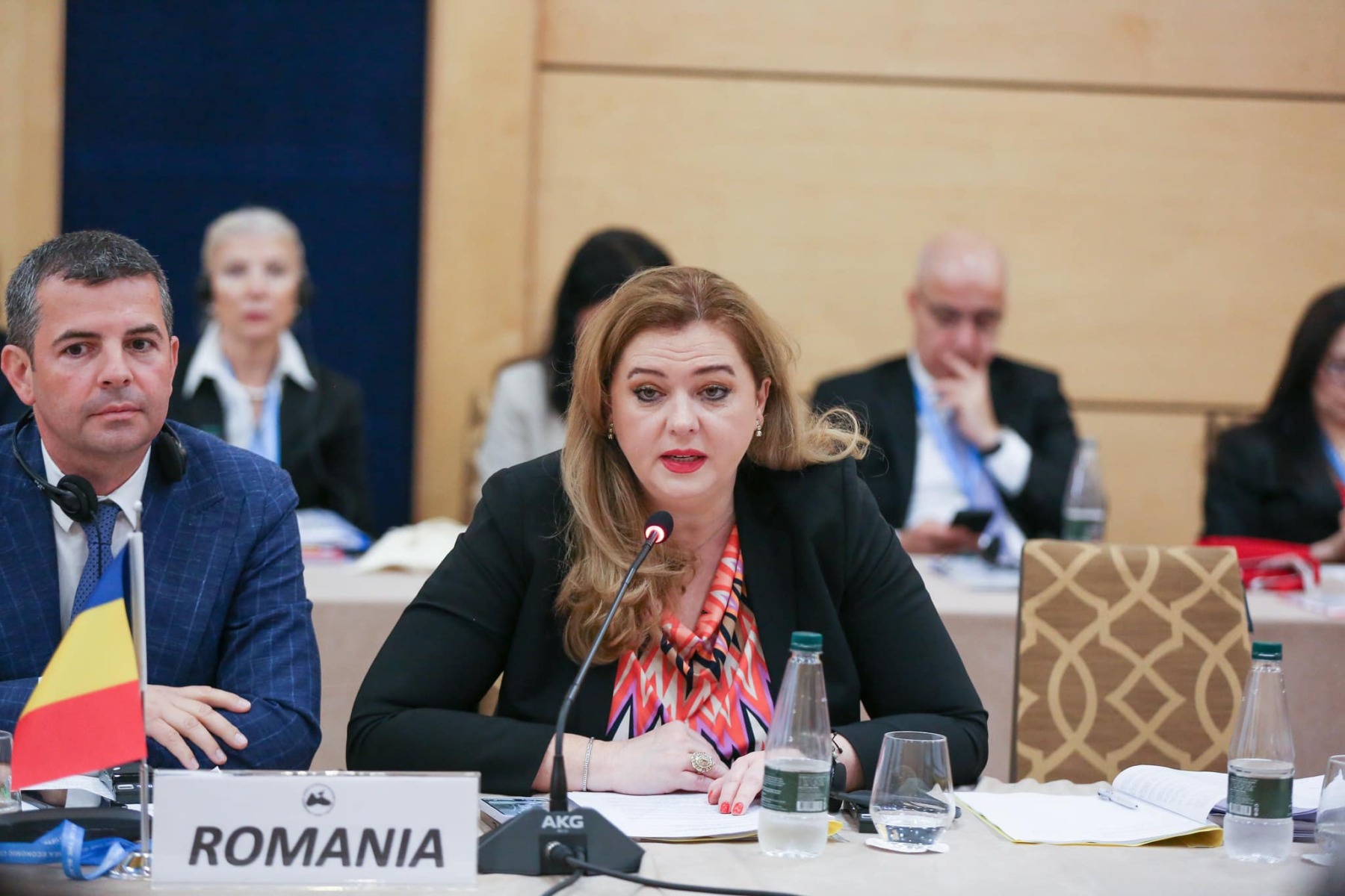 Roberta Anastase, fostă șefă a Camerei Deputaților și actual membru în consiliul de administrație al BNR, se judecă cu CNATDCU pentru titlul de doctor