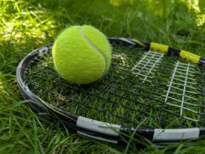 Rachete de tenis de câmp, wta, atp.