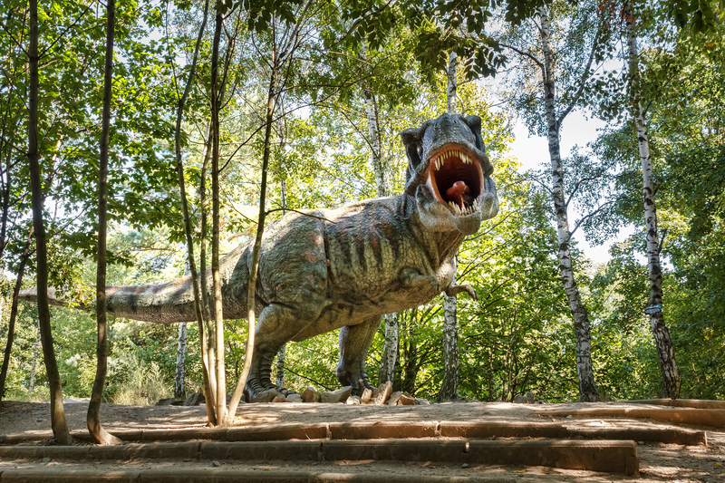 Parc cu dinozauri în mărime naturală, SPA și bob de vară, construite la Ineu cu fonduri europene / Investiție de aproape un milion de euro – fonduri europene