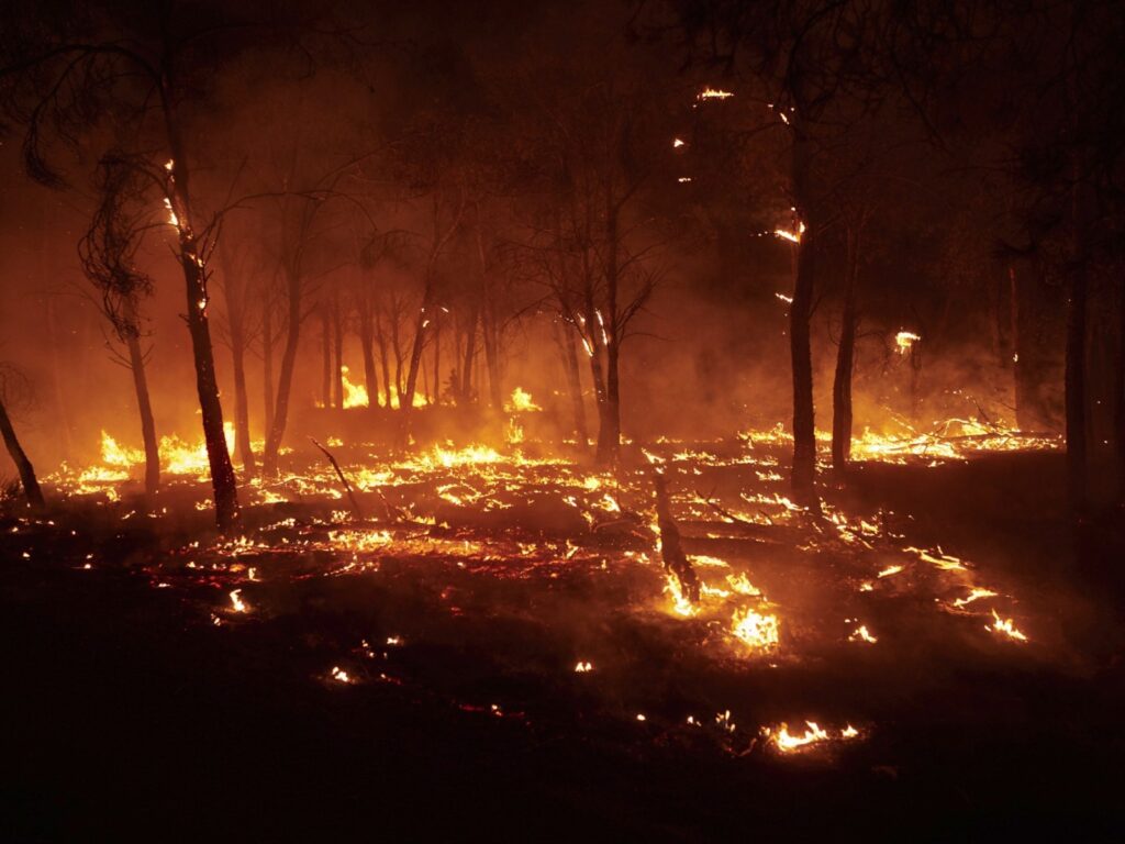 Majoritatea celor 12 victime ale incendiilor din Spania sunt cetățeni străini / Patru britanici ar fi murit arși de vii în mașină / Temperaturi extreme în Andaluzia, locul tragediei