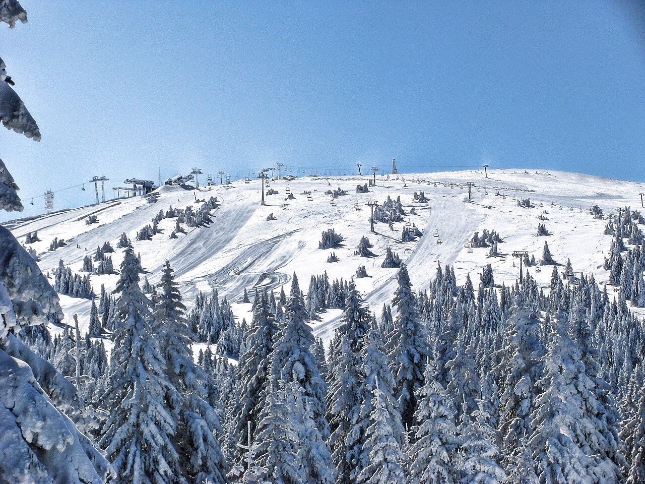 Fără zăpadă în Munţii Banatului, bănăţenii iubitori de schi iau drumul Serbiei. Kopaonik oferă 62 de kilometri de pârtii, preţuri mai mici şi drum scurt