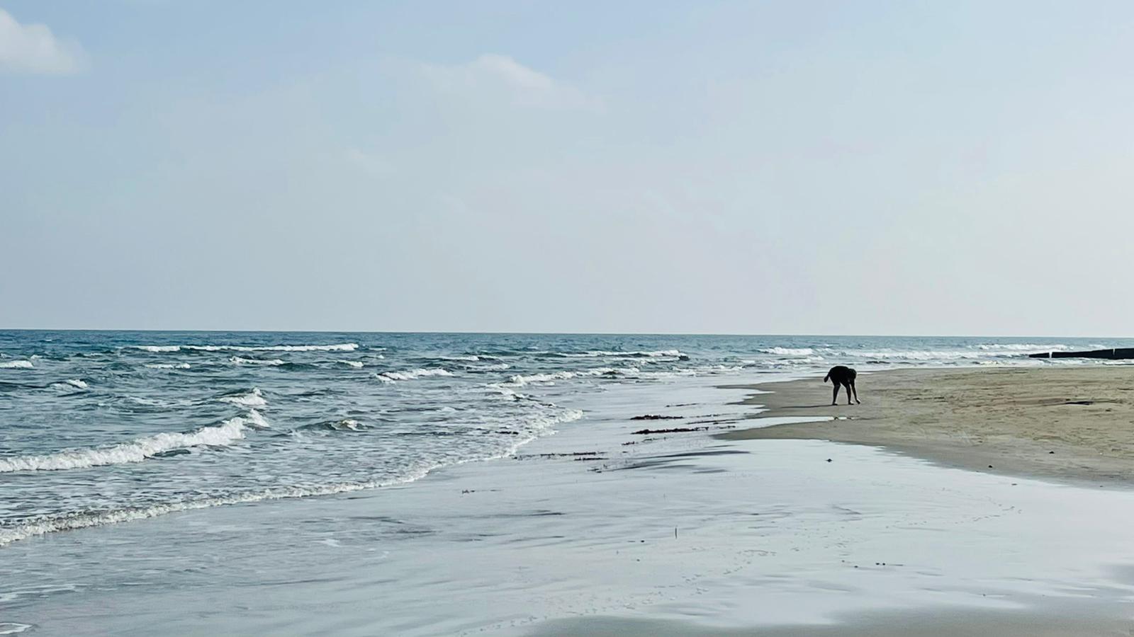 iarna la mare