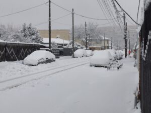 ninsoare, bucurești, capitala, zapada