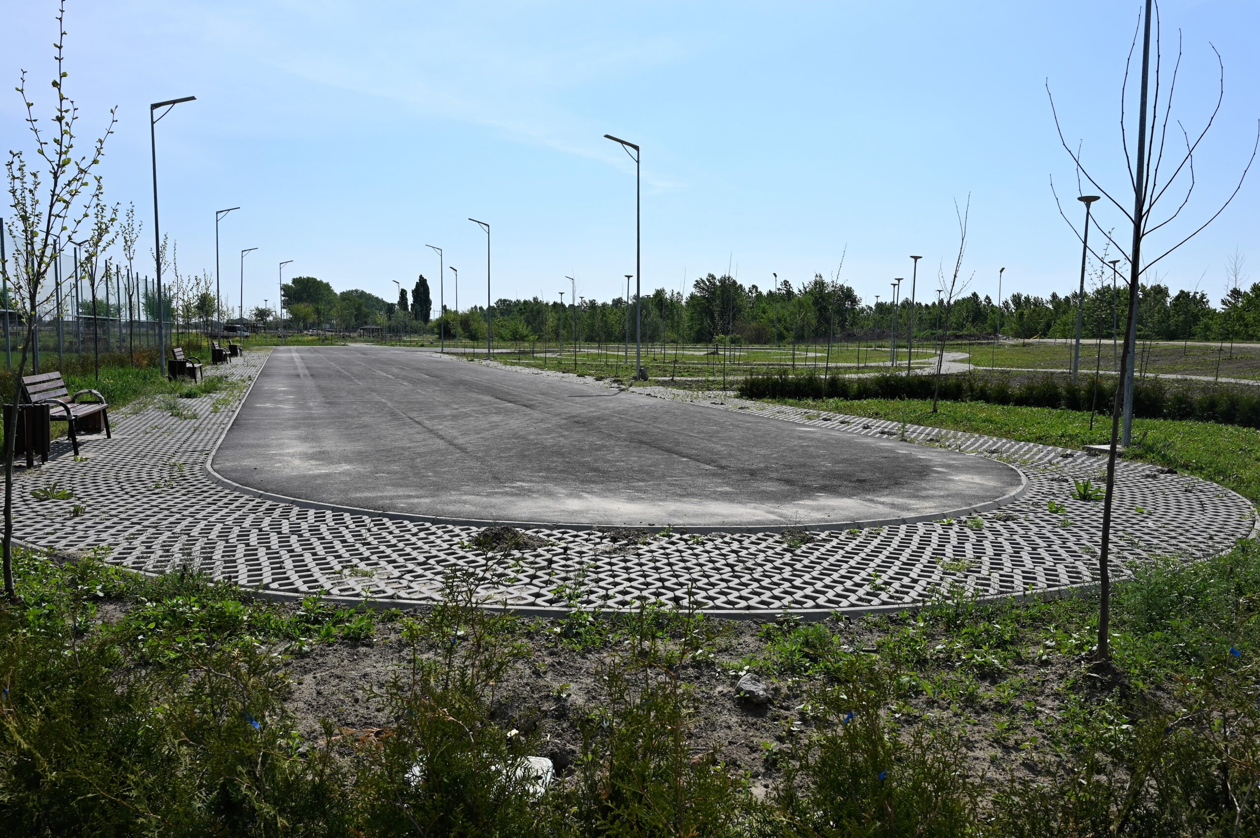 parcul dumitrana magurele