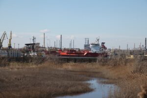 nava gas elisabeth, portul midia, terminal octogon