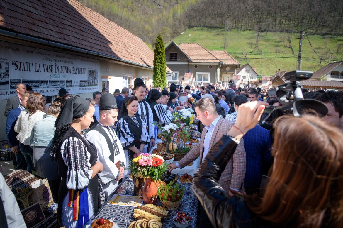 statu la vase șugag