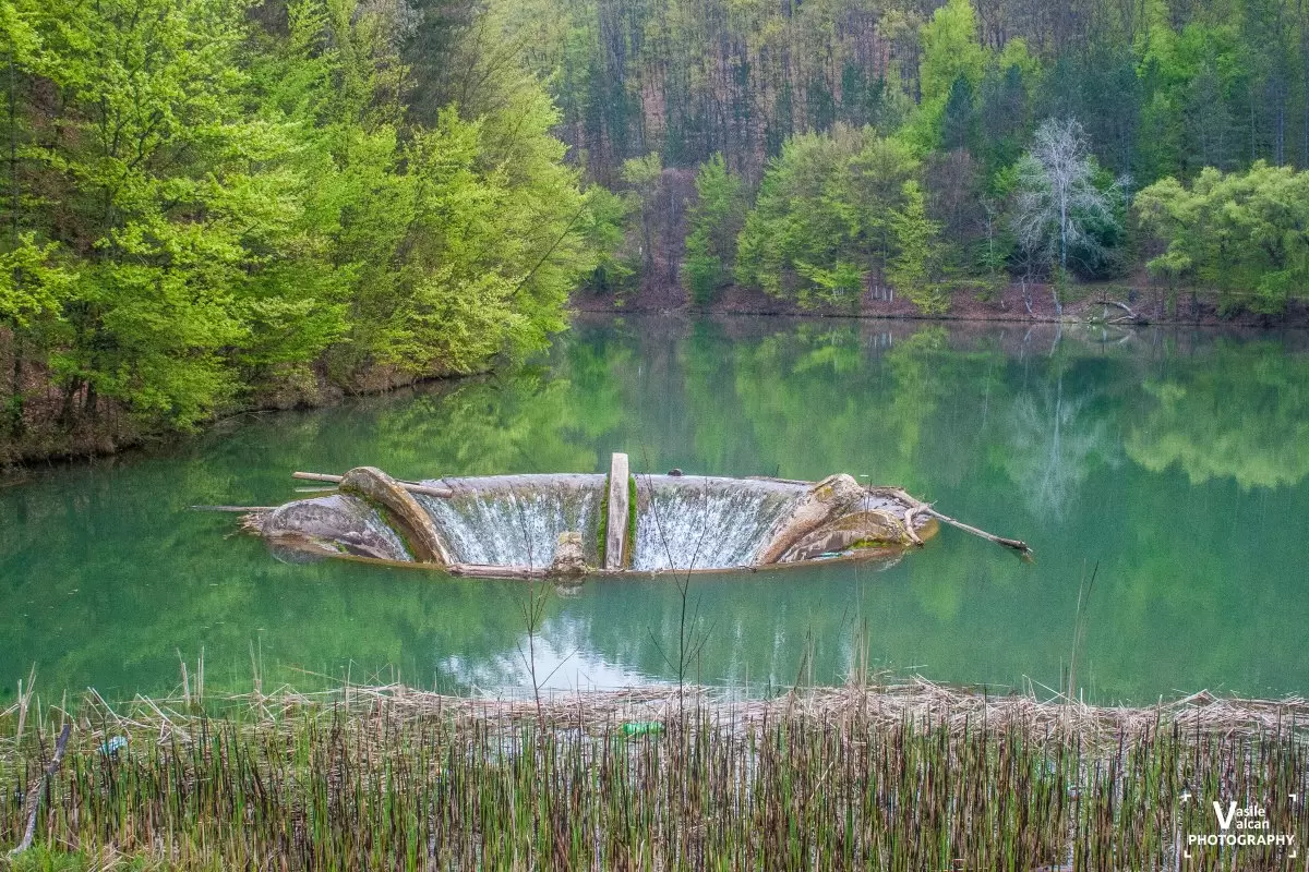 Lacul Vida din Bihor, salvat printr-o investiție europeană / Era colmatat în proporție de 80% / S-au scos de aici 15 mii de camioane de mâl