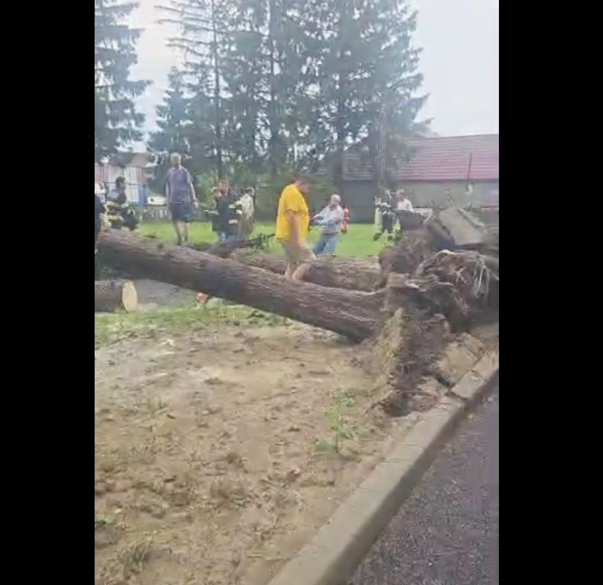 Trei copaci s-au prăbușit din cauza vremii peste un stâlp de electricitate în curtea unui spital din Vrancea