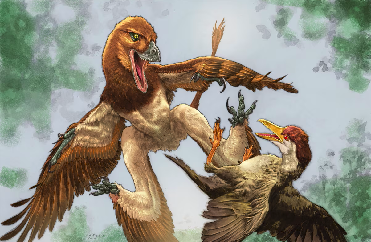 O descoperire din China rescrie istoria evoluției: Un dinozaur „cu patru aripi” trăia în urmă cu 120 de milioane de ani