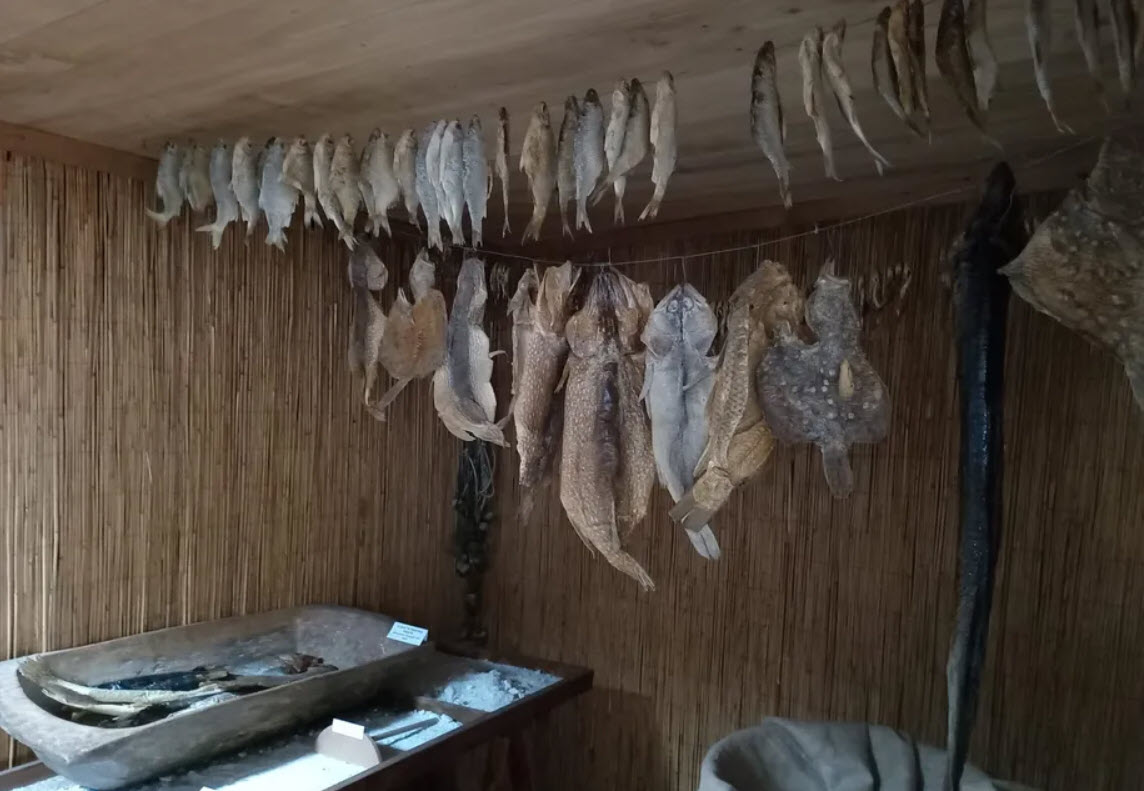 Dobrogea candidează oficial la titlul de Regiune Gastronomică Europeană 2029 / „Este o invitație adresată Europei de a descoperi Dobrogea prin gusturile sale”