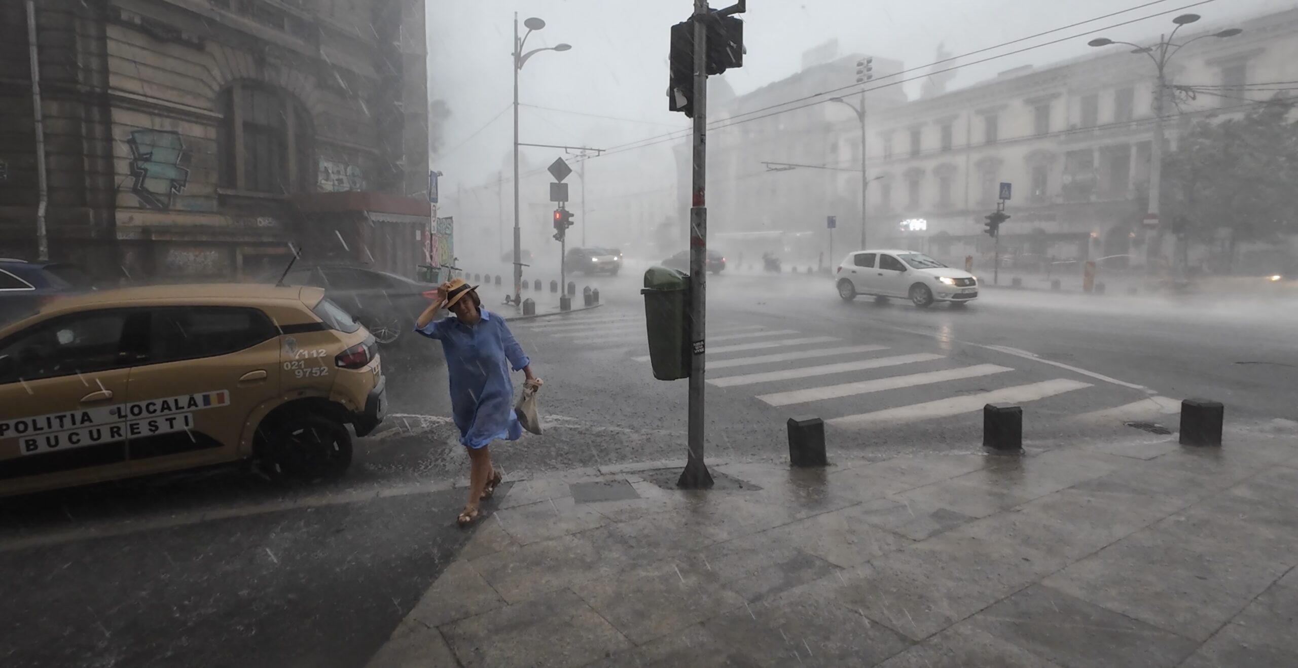 VIDEO | BREAKING Un bărbat a murit în Ilfov după ce un copac a căzut peste mașina în care se afla / Furtună devastatoare în București / Copaci smulși în centrul Capitalei / Mesaj RO-Alert emis de autorități