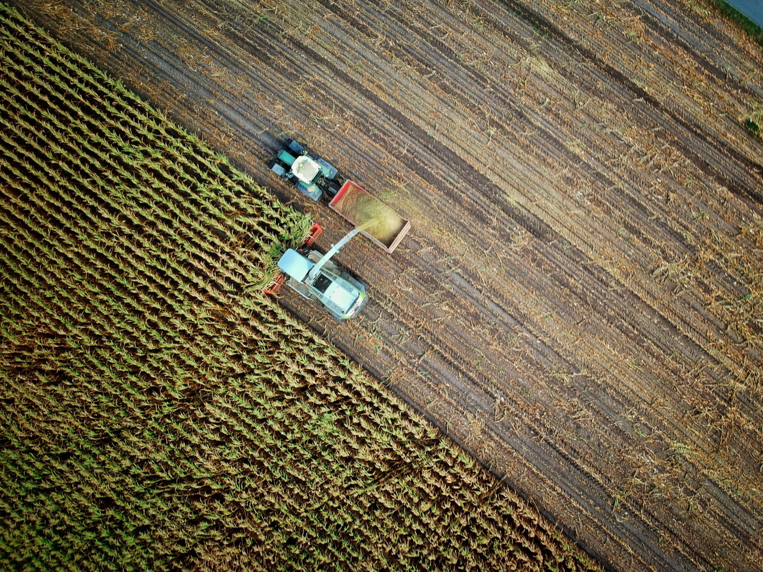 ANALIZĂ | Cine va mai produce hrana Europei? Radiografia unui schimb blocat de generații în agricultură / Cum e în România