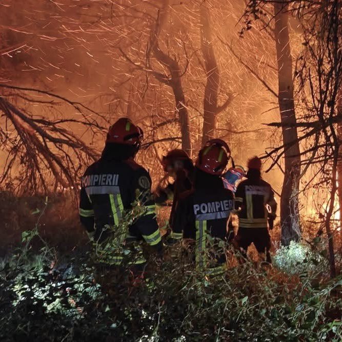 VIDEO | Pompierii români, în prima linie în lupta cu incendiile din Franța / Francezii le mulțumesc pentru solidaritate