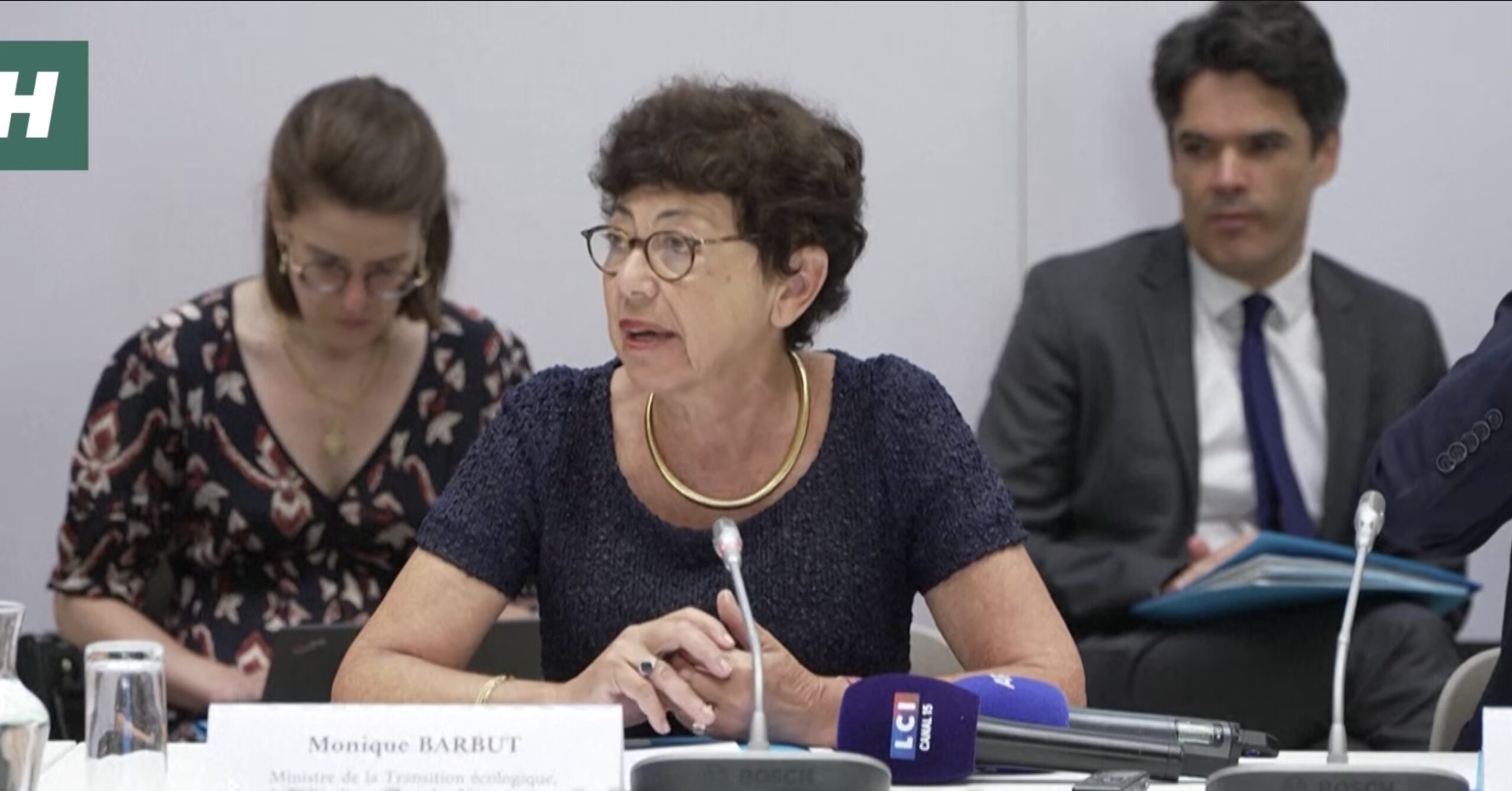 Macron a convins-o pe ministra mediului să rămână în funcție / Monique Barbut își dăduse demisia la începutul acestei săptămâni, susținând că „forțele care se opun” programului său de tranziție ecologică deveniseră „prea puternice”