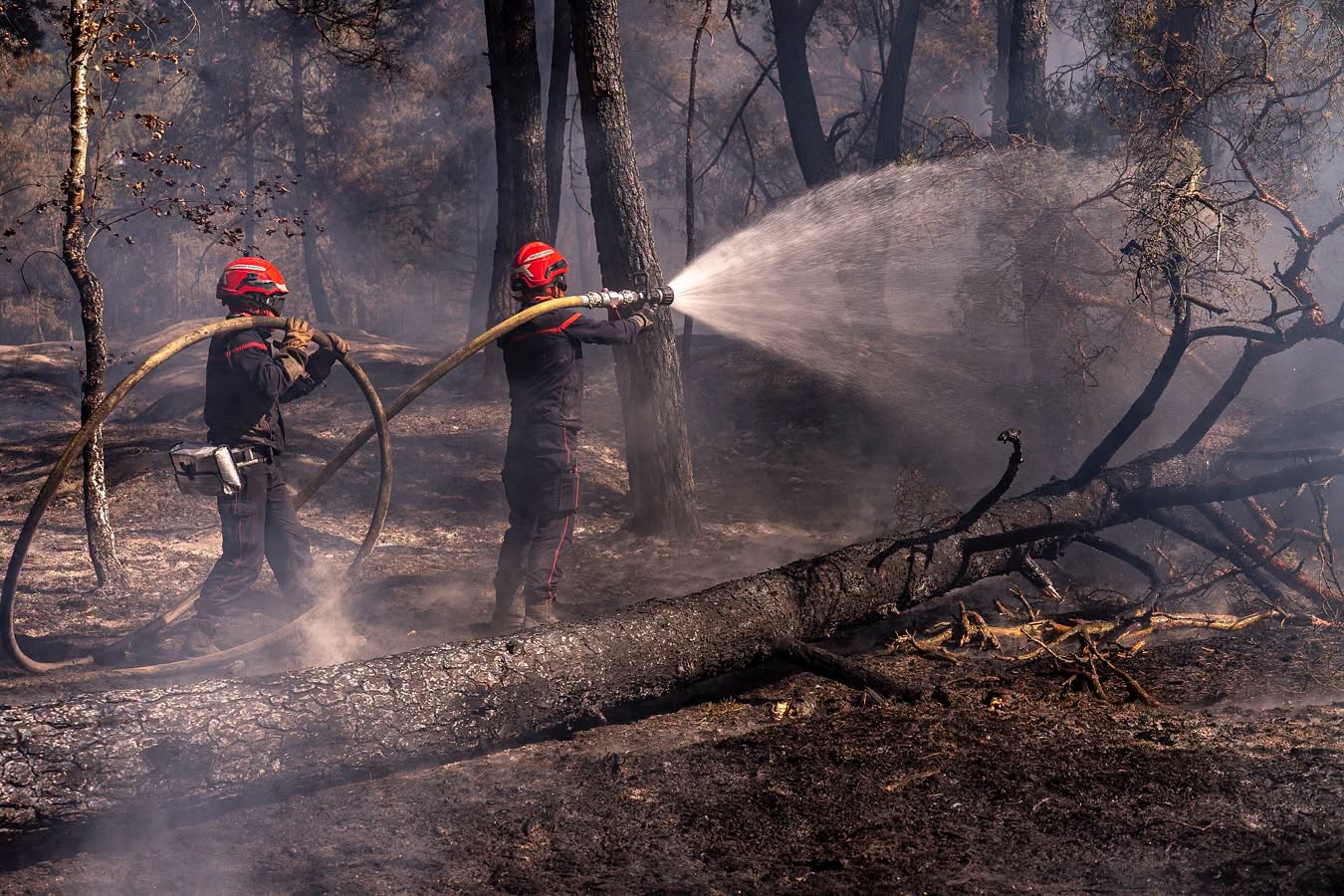 Macron le mulțumește pompierilor din România, Croația, Germania, Portugalia, Suedia, Elveția, Cehia și Slovacia pentru sprijinul la incendiile care au devastat Franța: În vremuri de încercare, Europa este cea care dă dovadă de solidaritate