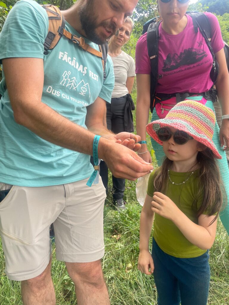 Făgăraș fest 2026