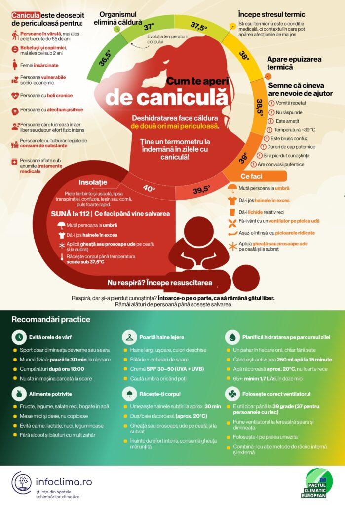 canicula infografic