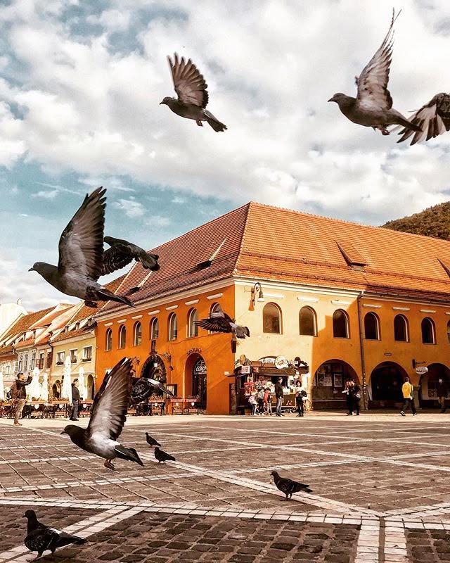 Înalta Curte trimite la rejudecare dosarul Casei Hirscher: victorie importantă pentru Primăria Brașov  / Municipalitatea încearcă de 7 ani să readucă în patrimoniul public una din cele mai reprezentative monumente istorice ale orașului