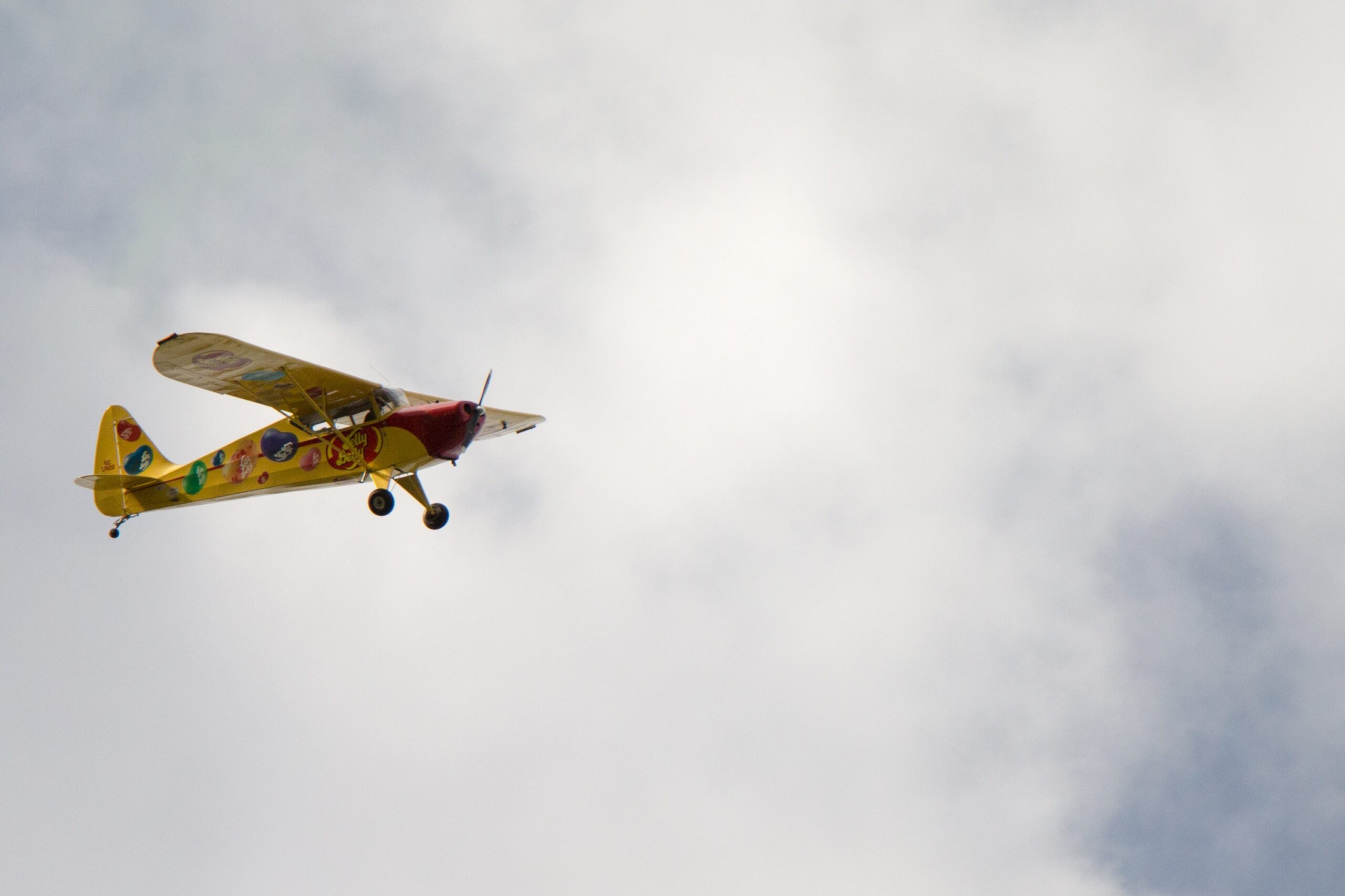 Lecție de zbor extremă: un instructor din Argentina s-a aruncat din avion în timpul unui zbor de antrenament/ Eleva sa (22 de ani) a reușit să aterizeze singură avionul