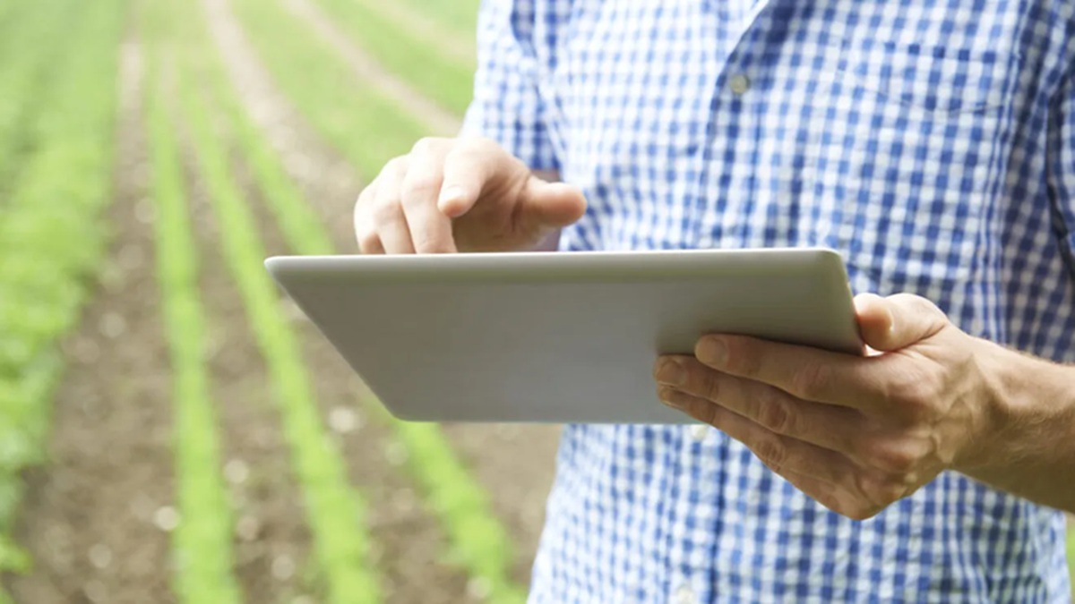 VIDEO | Viorel Marin, președintele Asociației Industriilor de Morărit și Panificație: „Digitalizarea nu mai este un lux pentru fermieri” / Cum schimbă tehnologia agricultura românească