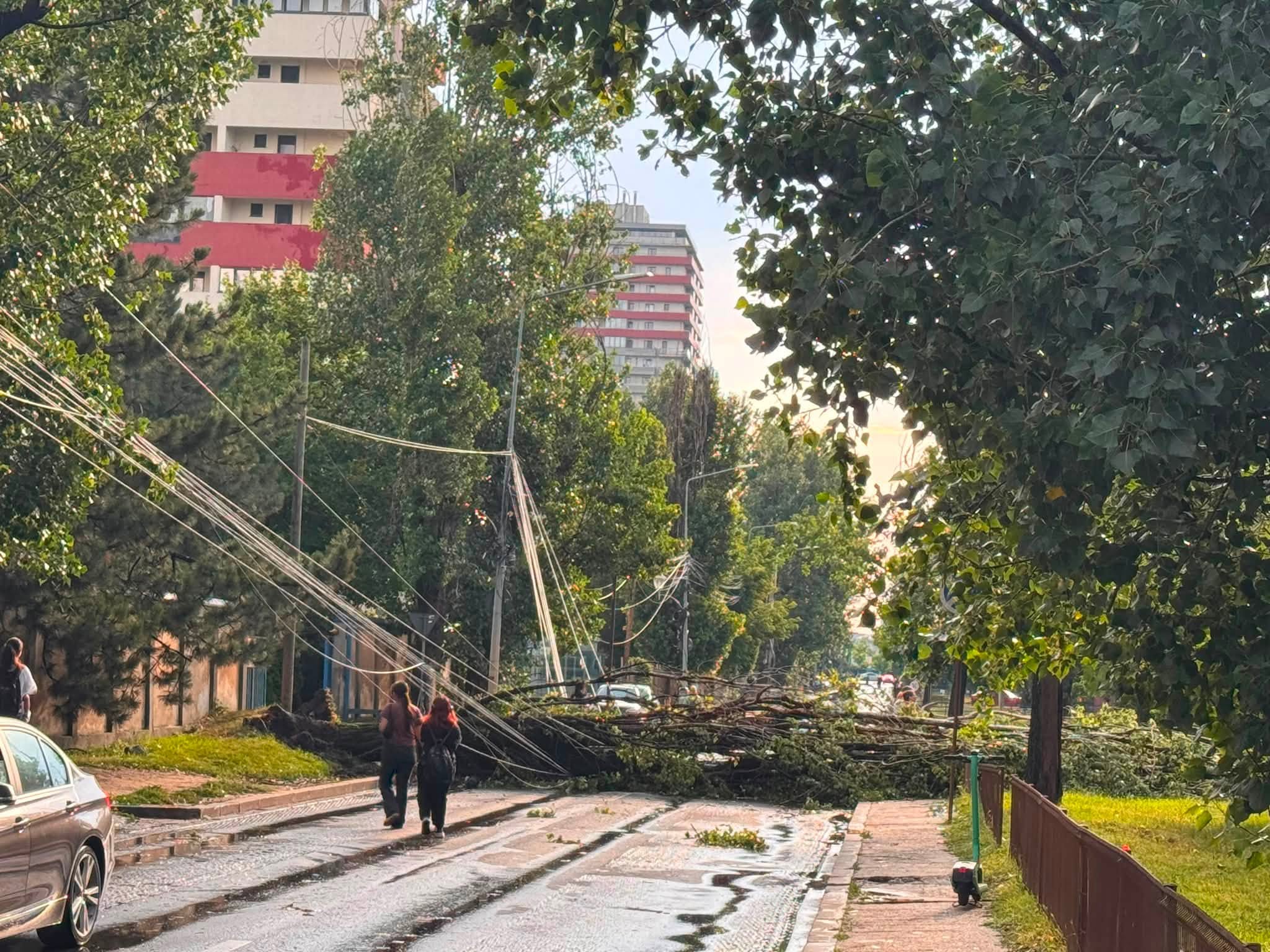 Bilanț în urma furtunii din Capitală: peste 1000 de copaci căzuți, 456 de autovehicule avariate / A fost nevoie inclusiv de sprijinul Armatei pentru evacuarea apei