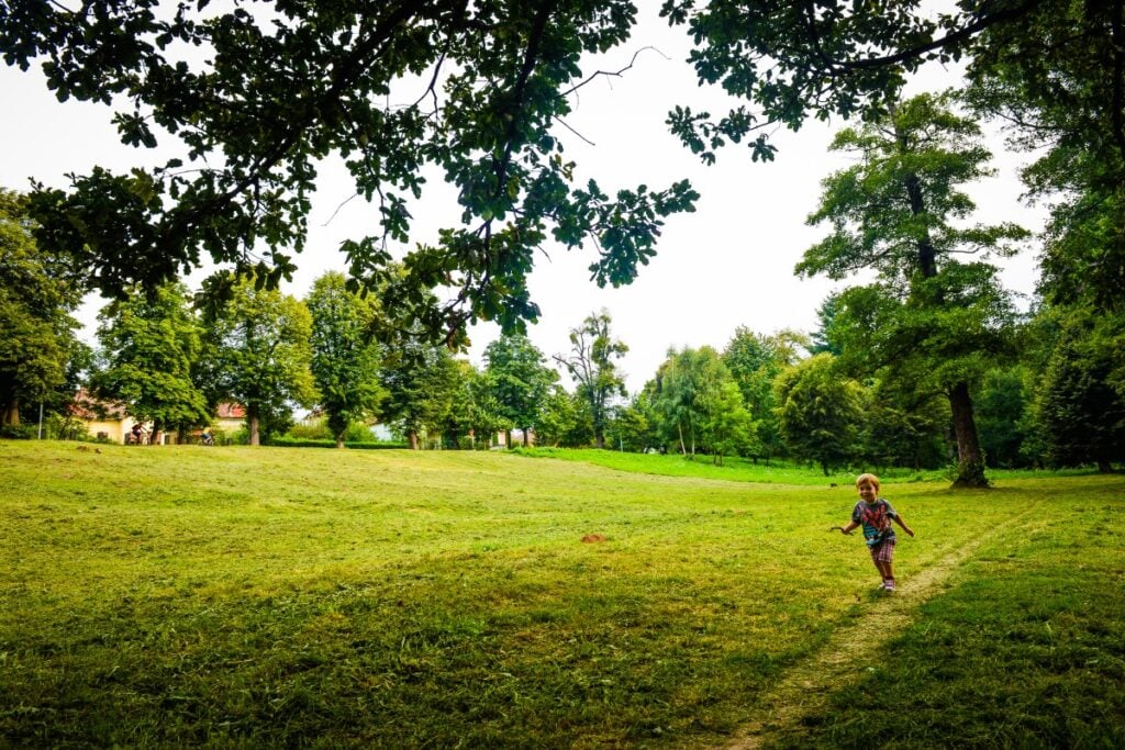 Parcul „Sub Arini” din Sibiu, reamenajat cu 3,3 milioane euro fonduri europene