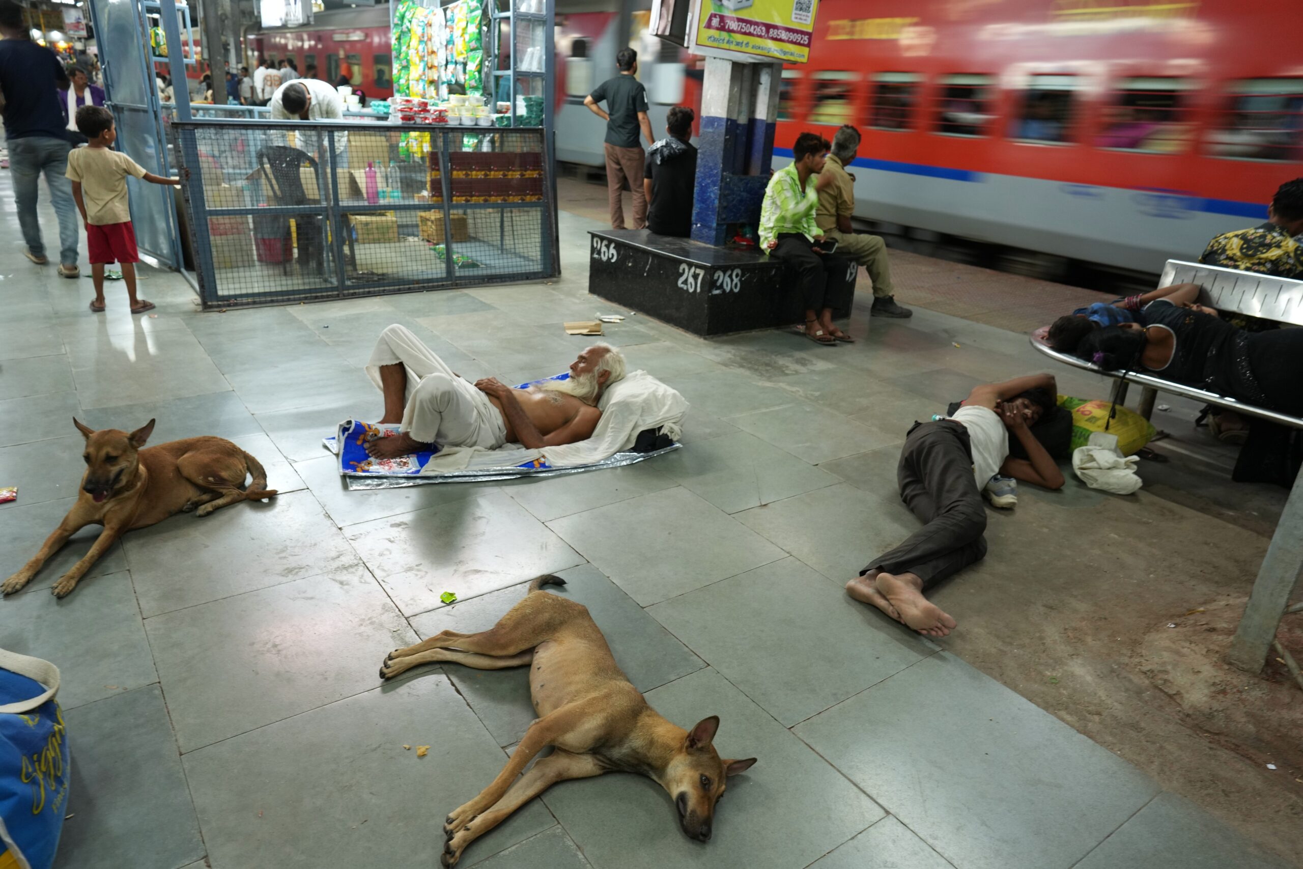 Orașul din India care a fost de șapte ori cel mai fierbinte loc de pe planetă / Cum se adaptează locuitorii la temperaturi extreme?