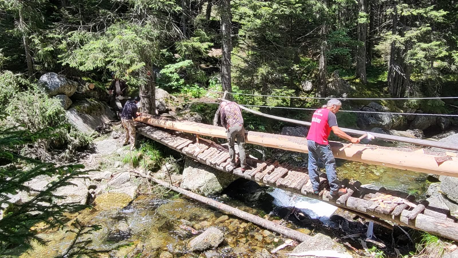 Salvamontiştii din Hunedoara refac mai multe trasee din Retezat / Materialele necesare sunt cărate cu spatele pentru că zona e greu accesibilă