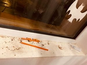 Centrul de Recuperare și Reabilitare Neuropsihiatrică pentru Adulți cu Handicap din Urlati, Sursa foto: Facebook Violeta Alexandru