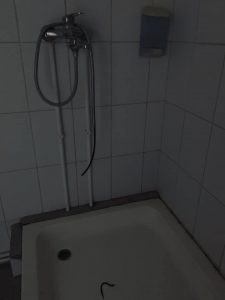 Sursa foto: Facebook Violeta Alexandru